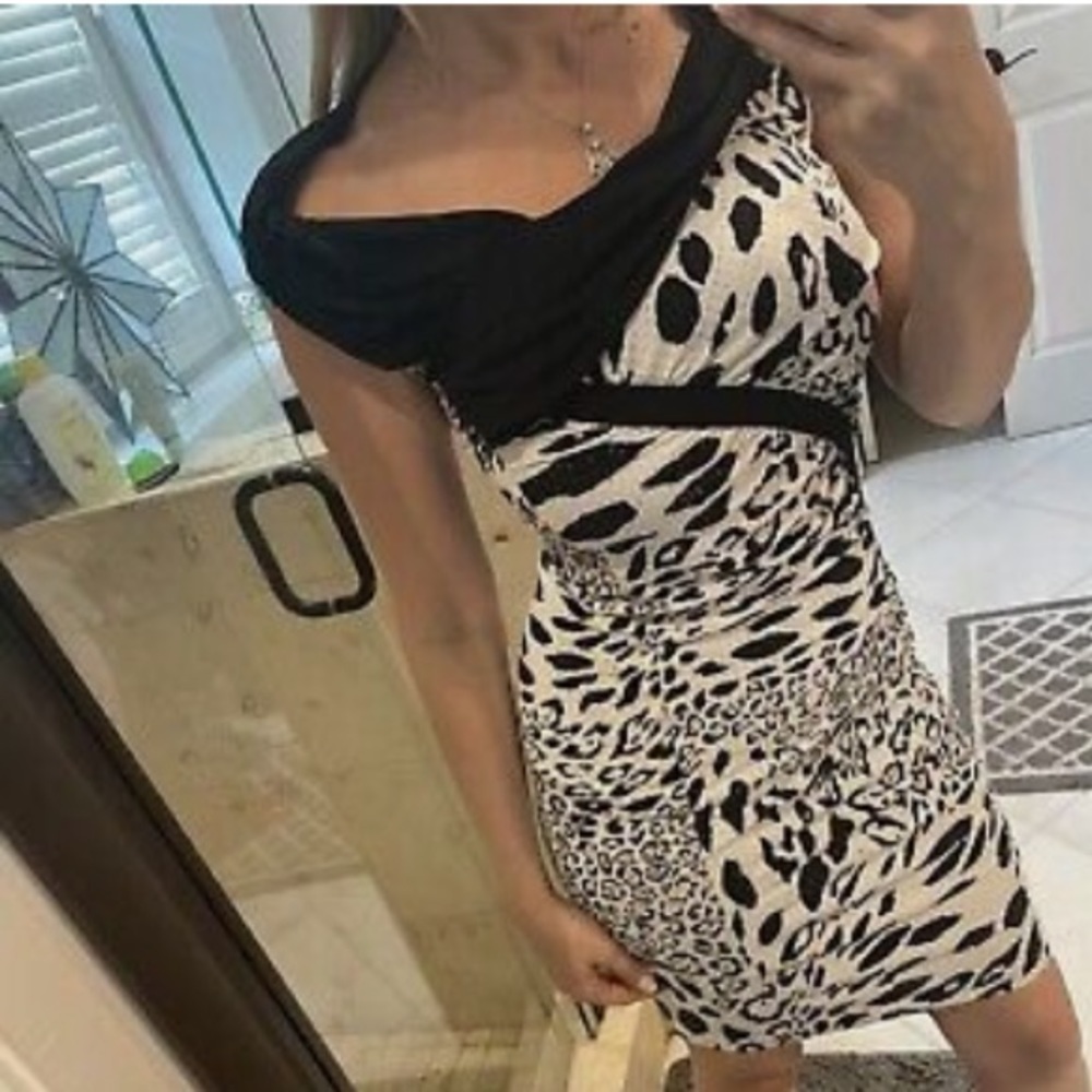Cache Sparkle Print Stretch Knit Slimming midi Dress Career Cheetah Animal 10